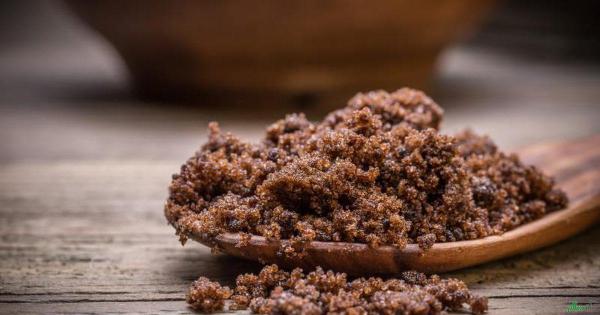 مرکز پخش قوتو لقمه ای رفسنجان